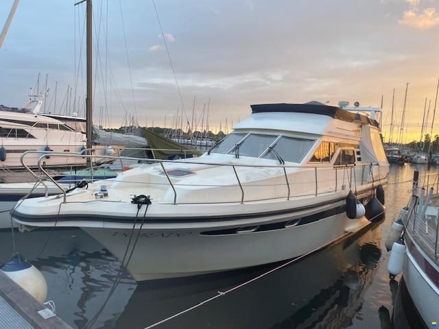 Pfeil 450 Fly