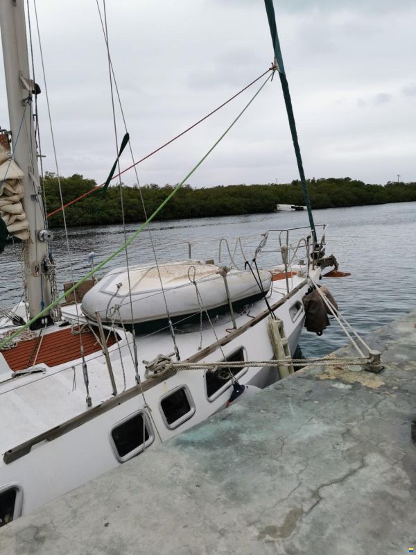 Reinke Super Secura 37ft Segelschiff