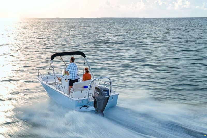 Boston Whaler 170 Montauk