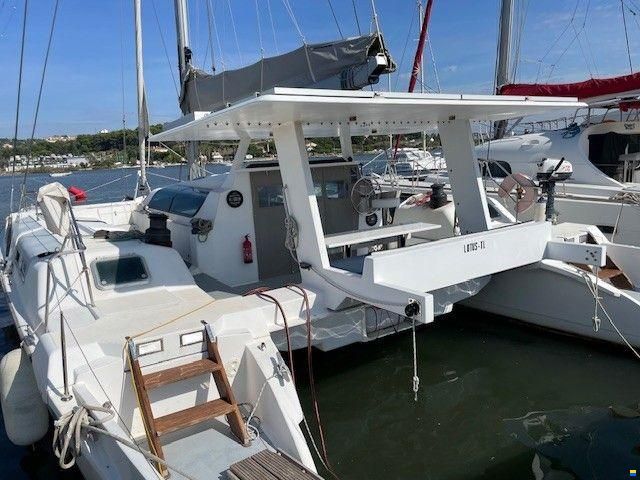 Edel Cat 43