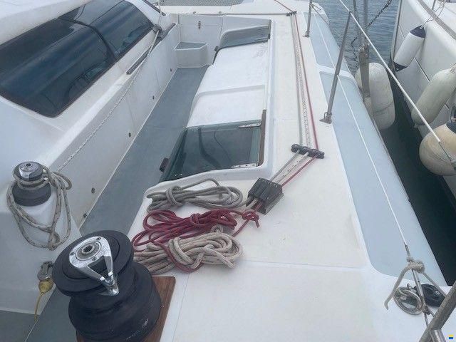 Edel Cat 43