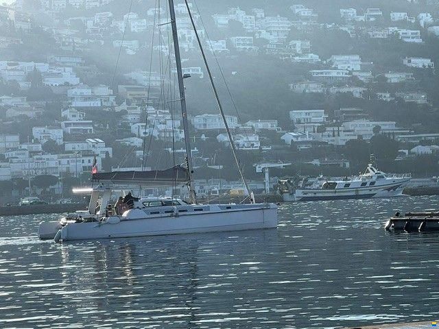 Edel Cat 43