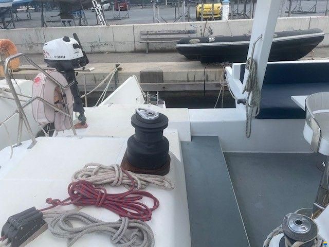 Edel Cat 43
