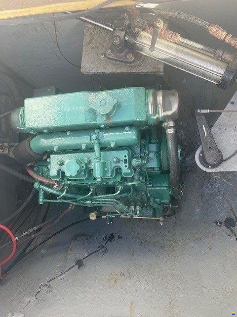 Edel Cat 43