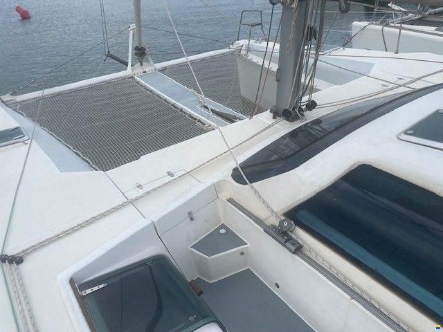 Edel Cat 43