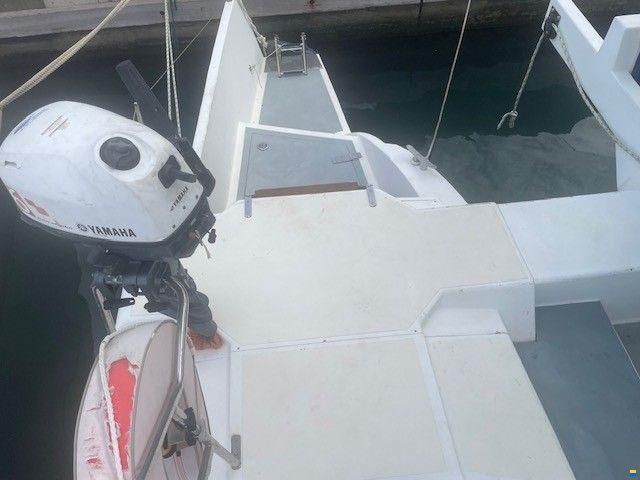Edel Cat 43