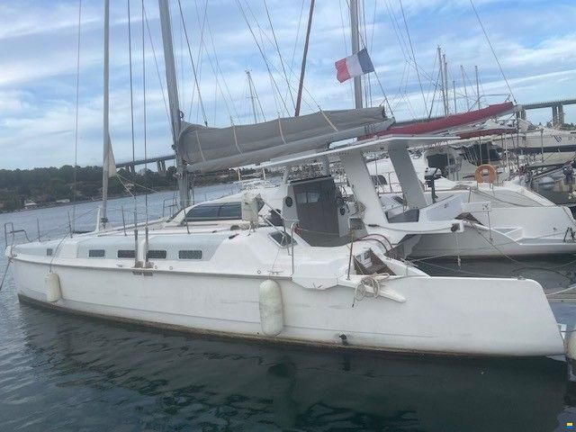 Edel Cat 43