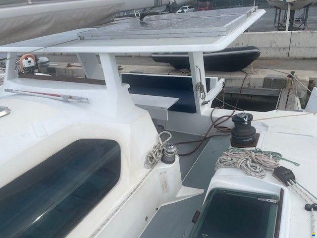Edel Cat 43