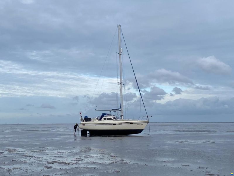 Southerly 115