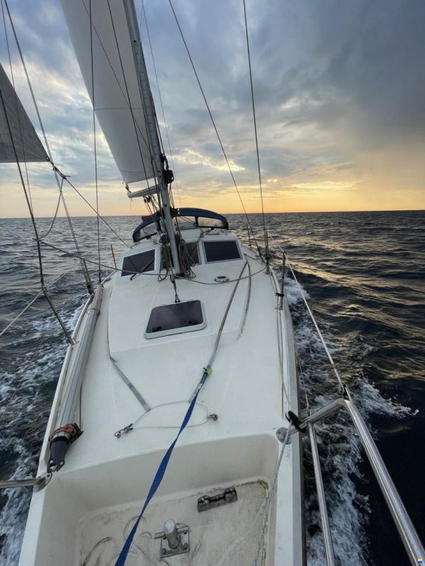 Southerly 115
