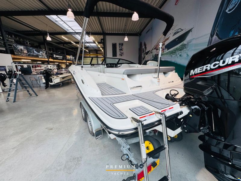 Sea Ray SPX 190 OB