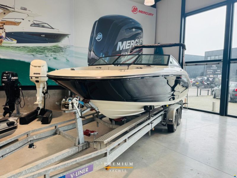 Sea Ray SPX 190 OB