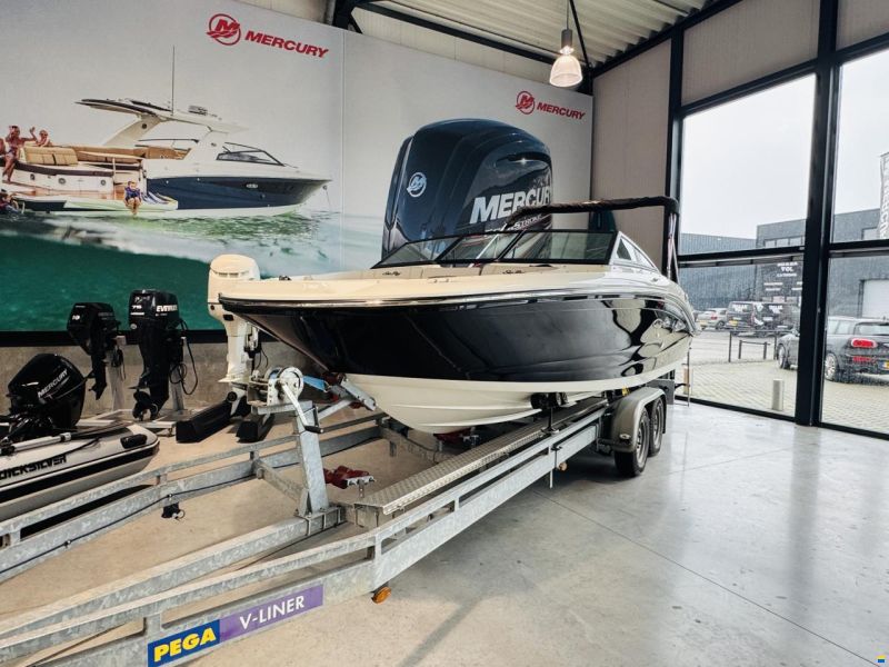 Sea Ray SPX 190 OB