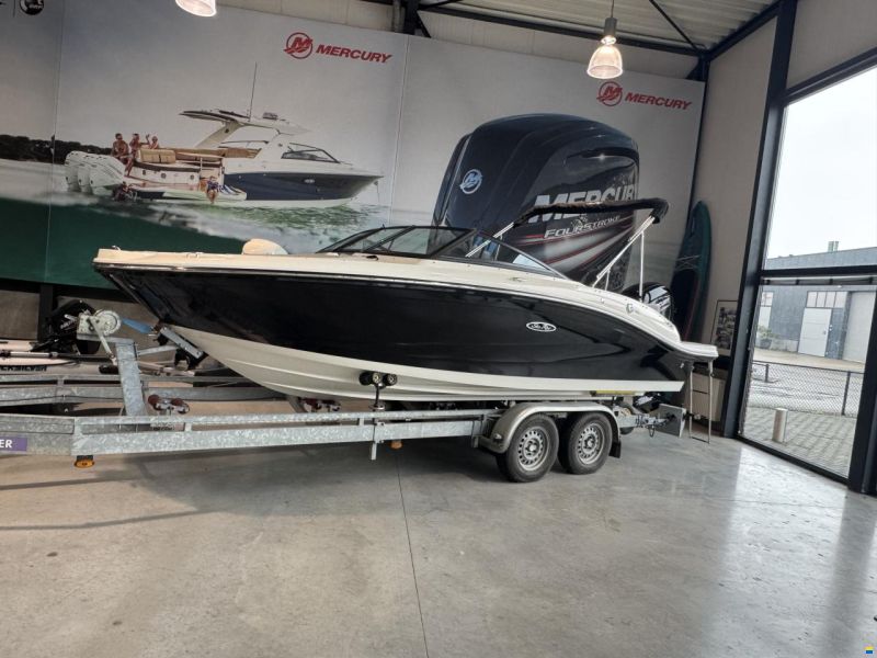 Sea Ray SPX 190 OB