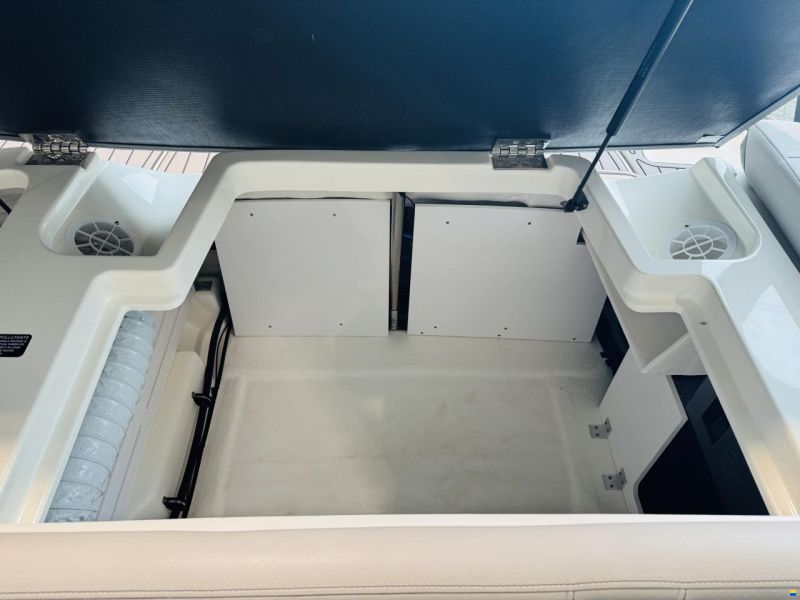 Sea Ray SPX 190 OB