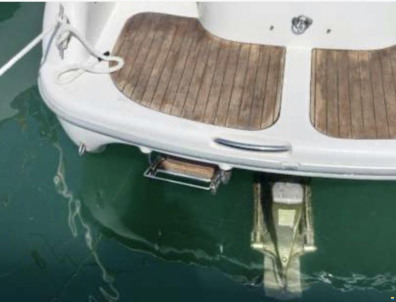 Sessa Islamorada
