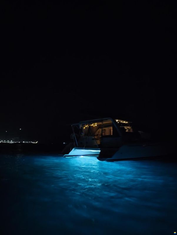 Leopard 38 - Owner’s Version