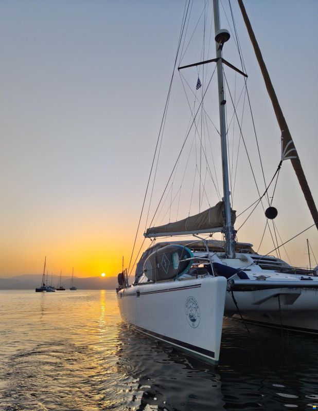 Leopard 38