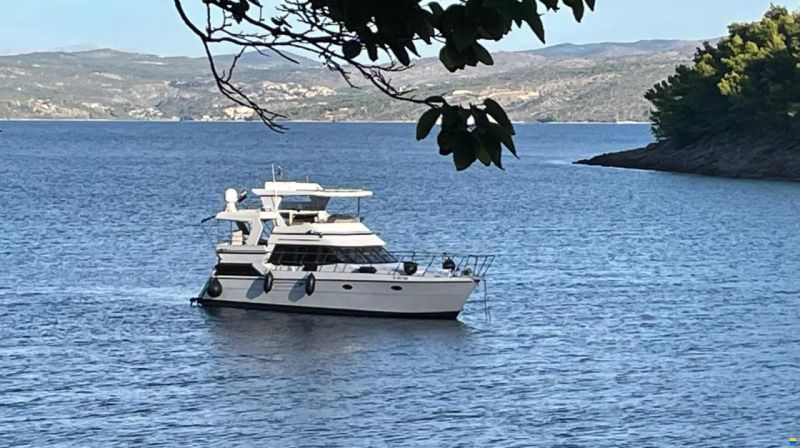 Astor 44