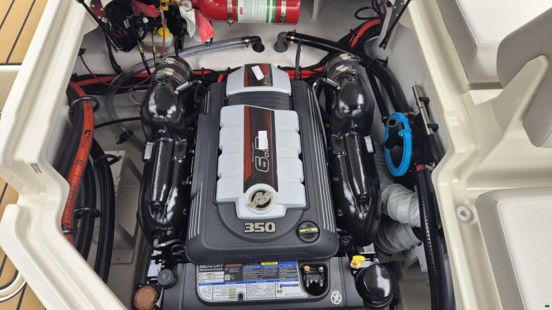 Sea Ray SDX 230 Europe