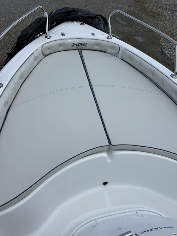 Ranieri Shark 17