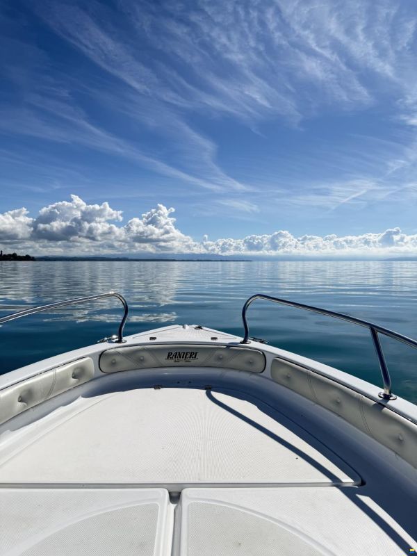 Ranieri Shark 17
