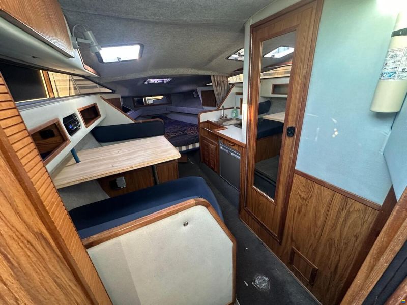Sea Ray 268 Sundancer
