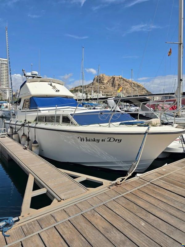 Princess 33 flybridge