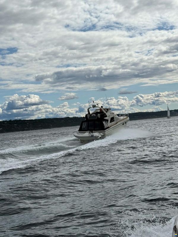 Princess 35