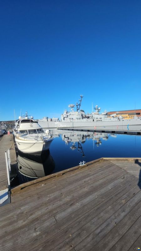 Princess 35