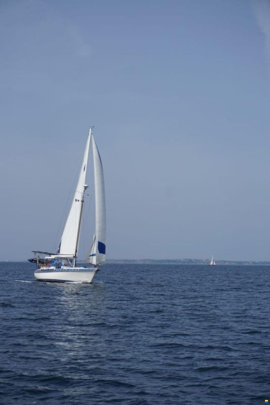 Catalina Morgan 41 MK II