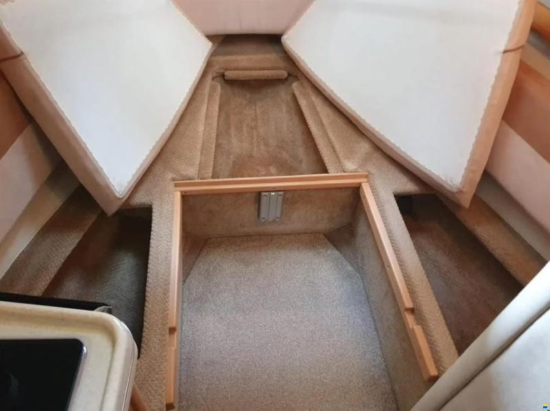 Sea Ray 255 Sundancer