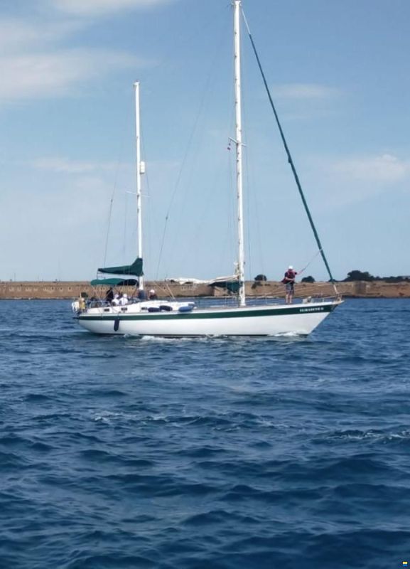 Taos Kelani 41