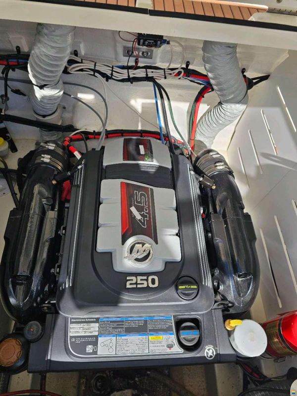Bayliner VR6E IB 250 PS