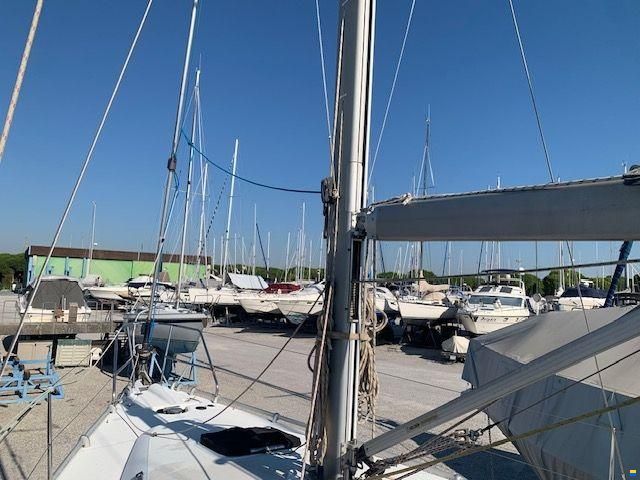 Harmony 38
