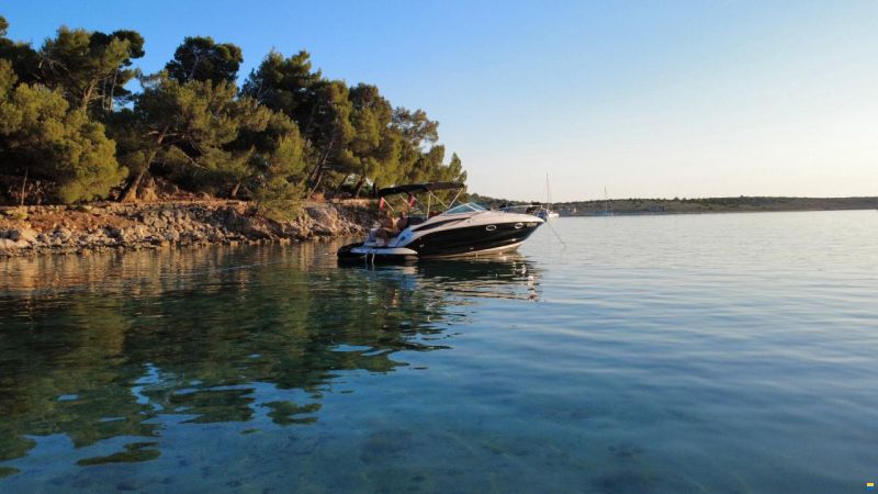 Crownline 260CR
