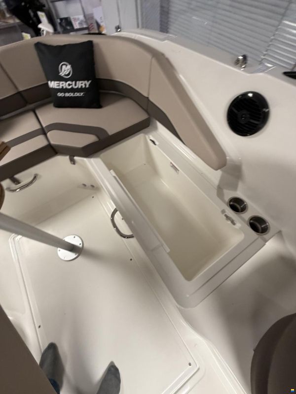 Bayliner V20