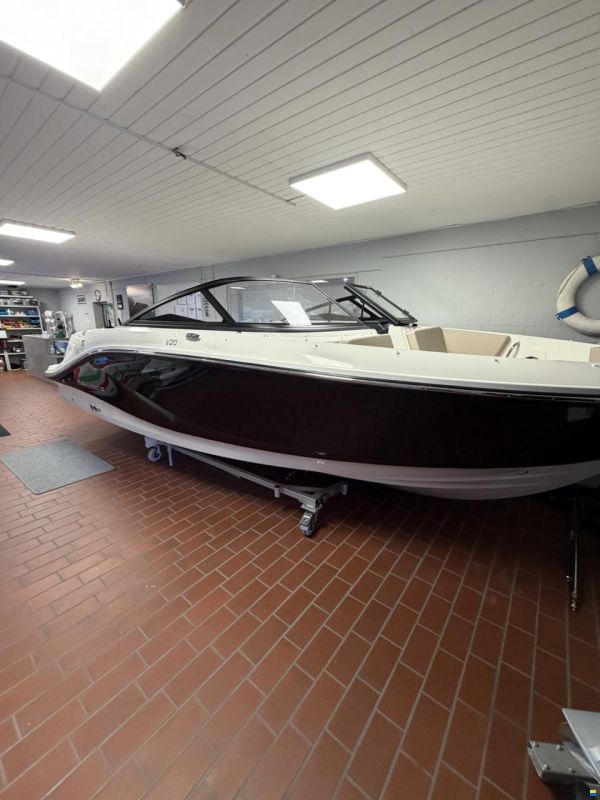 Bayliner V20