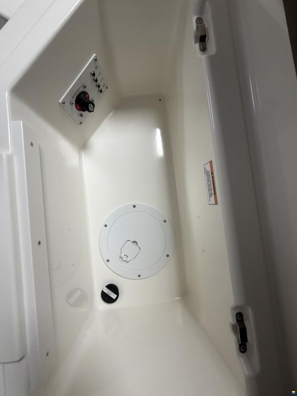 Bayliner V20
