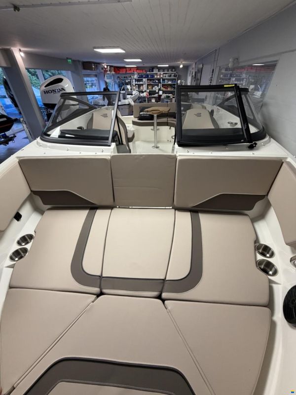Bayliner V20