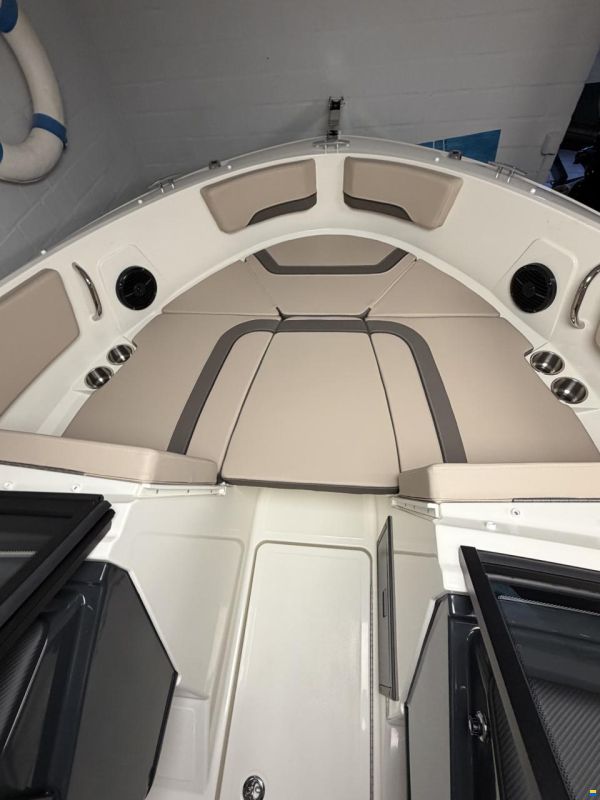 Bayliner V20