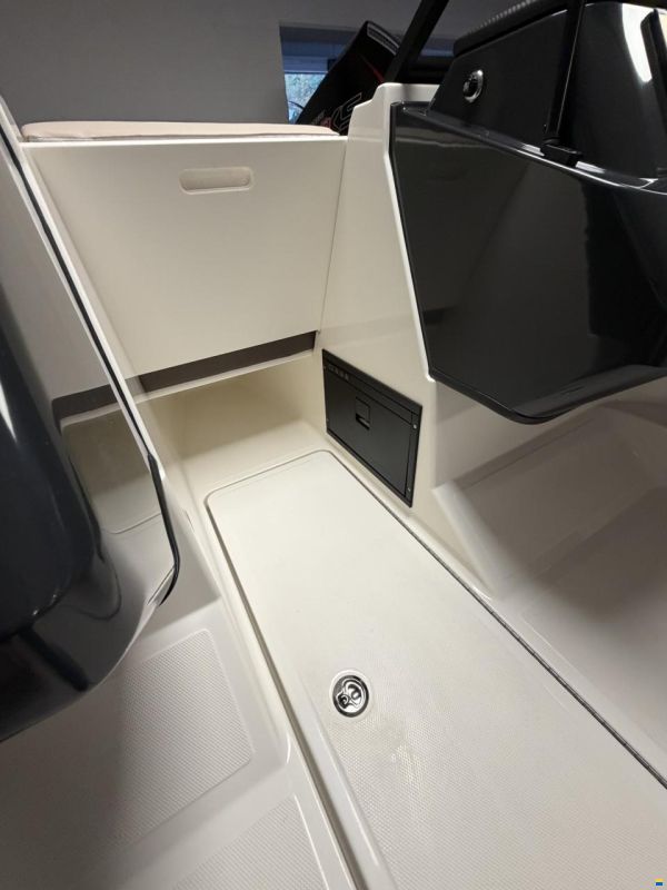 Bayliner V20