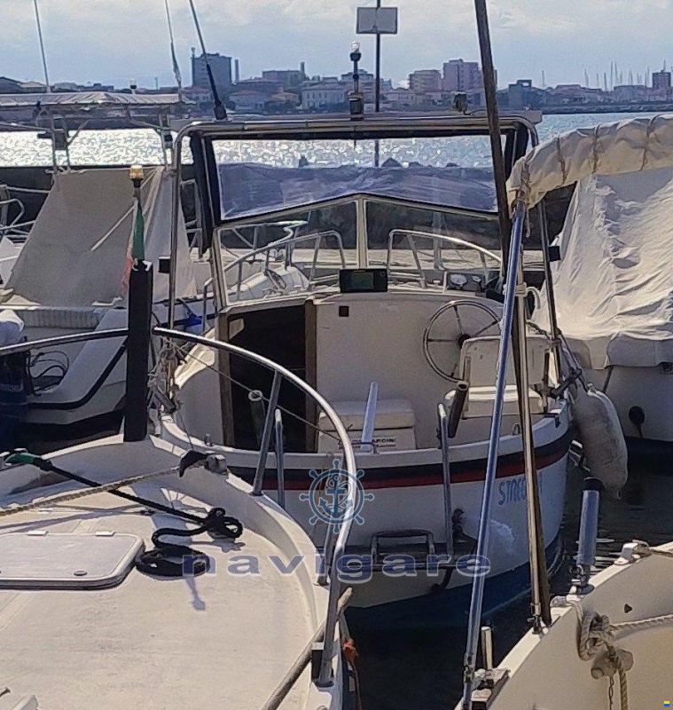 Gavazzi Luciano Alga 6