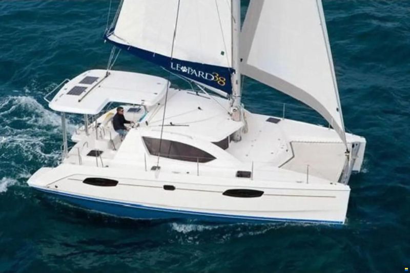 Leopard 38