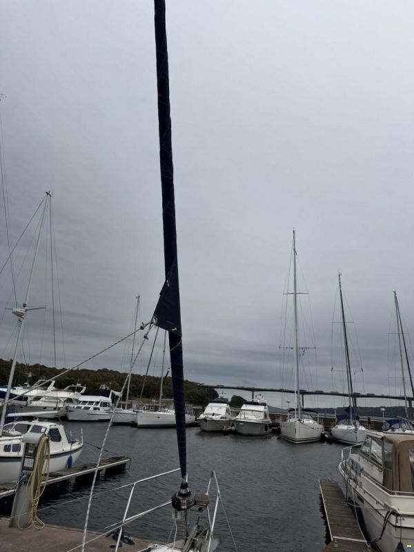 Bavaria 39 Cruiser