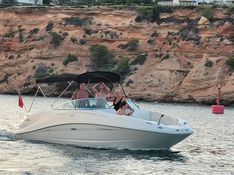 Sea Ray 260 Sundeck