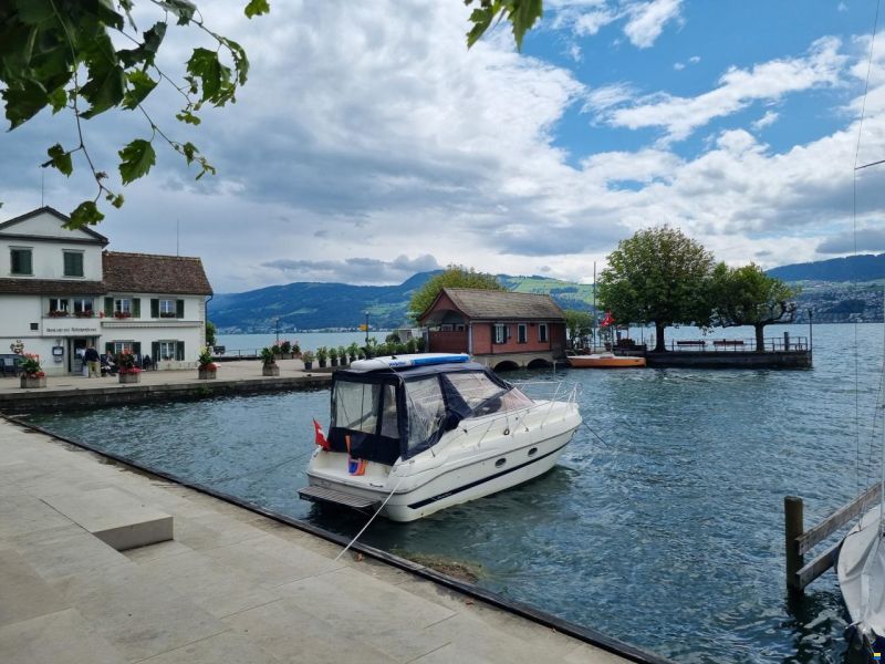 Cranchi Perla 25