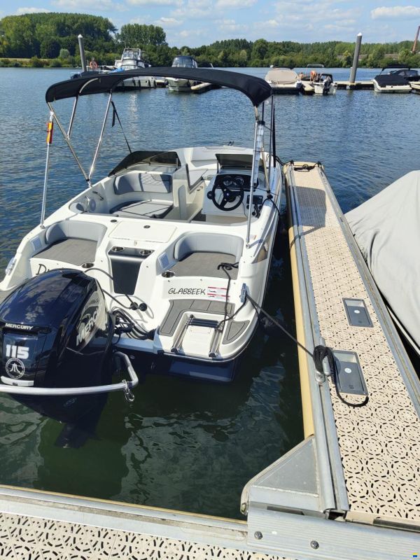 Bayliner M17