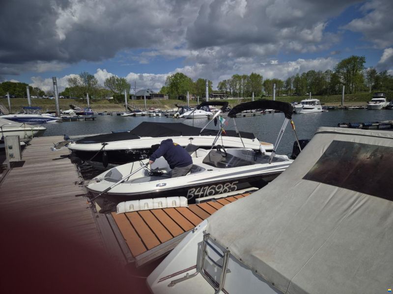 Bayliner M17