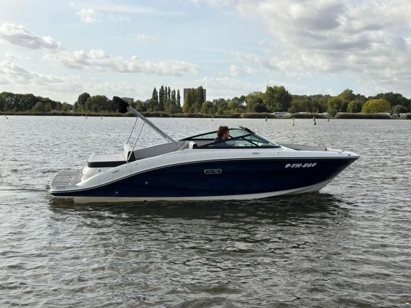 Sea Ray SPX 210